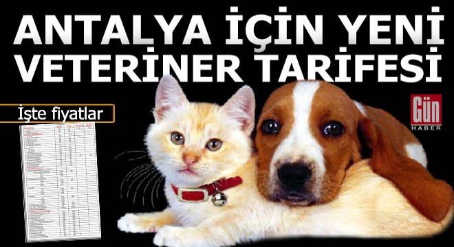 Antalya'da veterinerlerin yeni tarifesi belli oldu