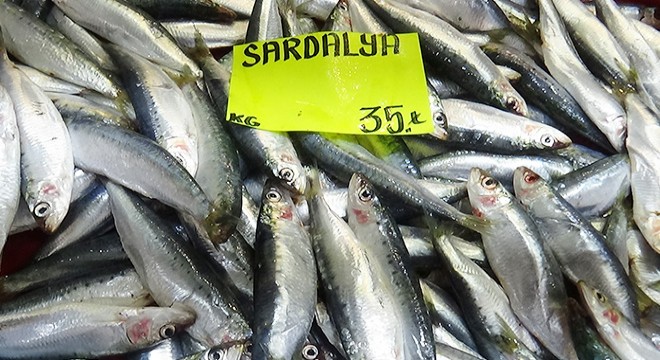 Av yasağına rağmen Çanakkale'de balık tezgahları doldu