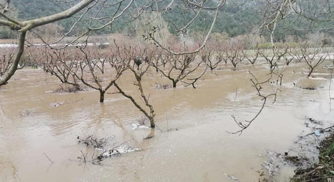 Bilecik’te şiddetli yağış, tarım arazilerini vurdu
