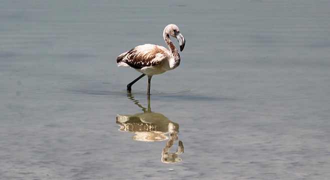 Burdur Gölü’ndeki tuzluluk oranı, 2040'ta deniz suyunun tuzluluk oranına ulaşacak