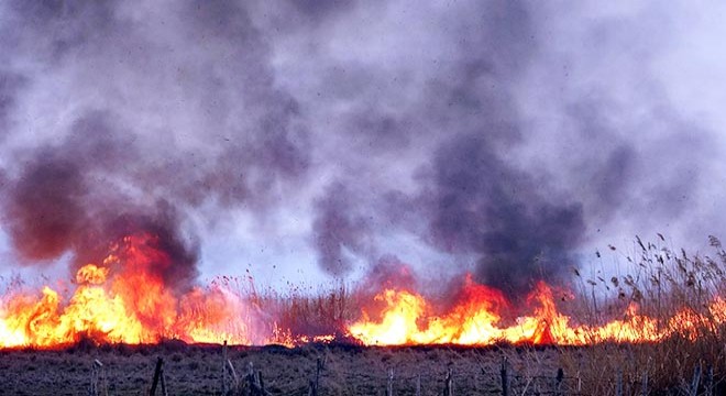 Erciş'te sazlık yangını, 2 saatte söndürüldü