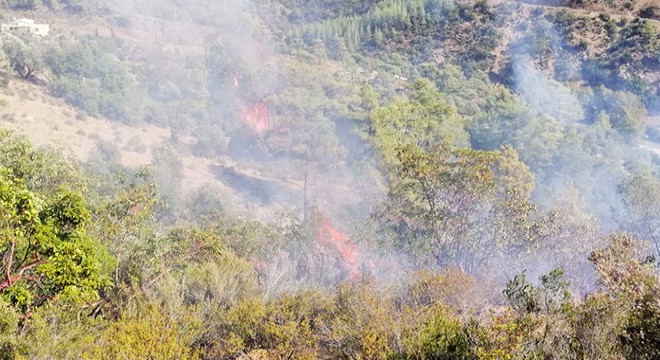Gazipaşa'da bu yıl 8 orman yangını çıktı