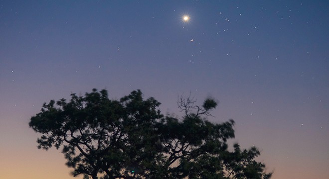 Neowise kuyruklu yıldızını, longoz ormanlarından fotoğrafladı