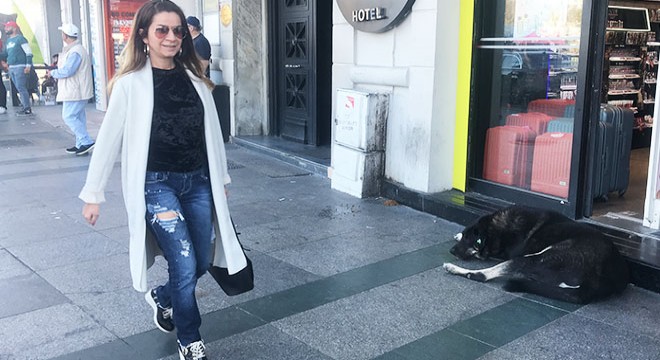 Taksim'de o köpek yine ısırdı