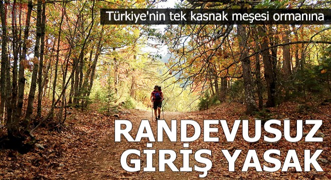 Türkiye'nin tek kasnak meşesi ormanına randevusuz giriş yasak