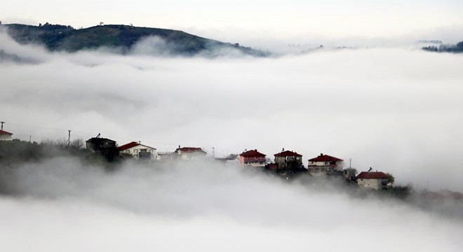 Zonguldak'ta sis güzelliği