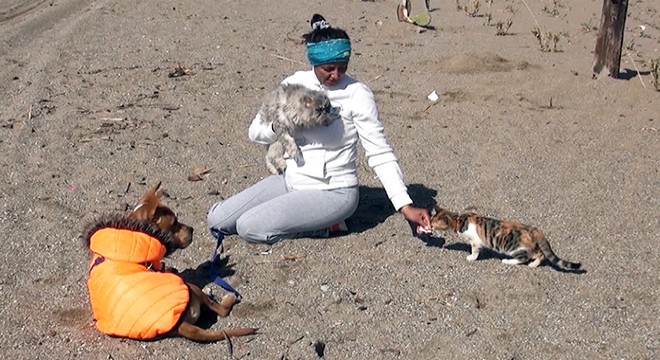 'Anka'nın kader arkadaşı, afetzede köpek 'Deka'