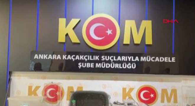 Canlı hayvan kaçakçılığı operasyonu: 1 gözaltı