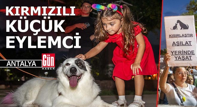 'Katliam Yasası'na tepki eyleminin kırmızılı kızı...