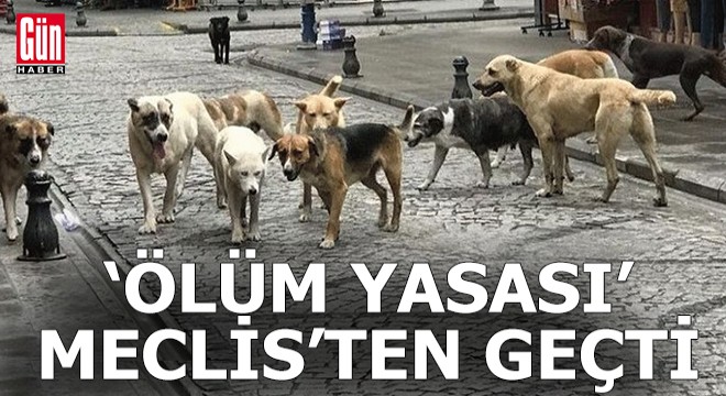 'Ölüm Yasası' Meclis'ten geçti