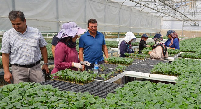 'Serik, Antalya'da en fazla örtü altı üretimin yapıldığı yer'