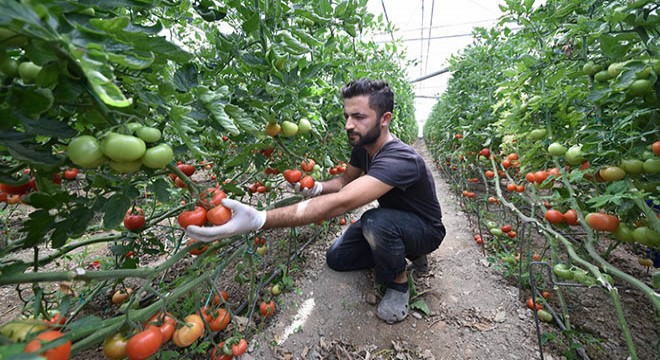 'Tarımda planlı üretim yapılmalı'