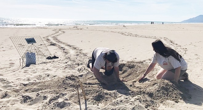 Patara'da caretta yuva rekoru