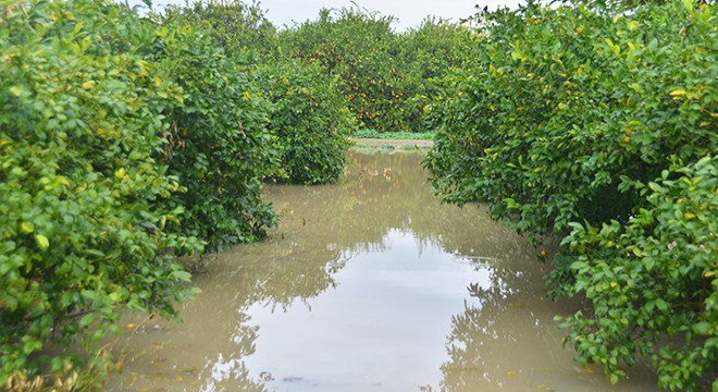 Adana'da tarım arazileri su altında kaldı