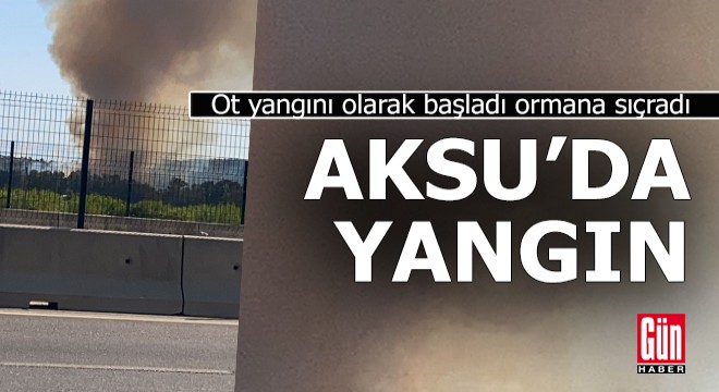 Aksu'daki ot yangını ormana sıçradı