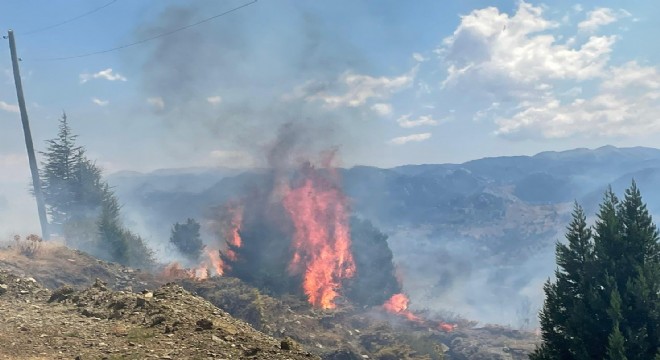 Alanya'da makilikte yangın