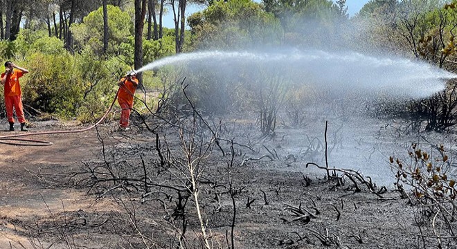 Antalya Aksu'daki orman yangını, yarım saatte söndürüldü