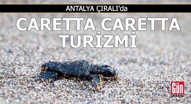 Antalya Çıralı'da caretta caretta turizmi