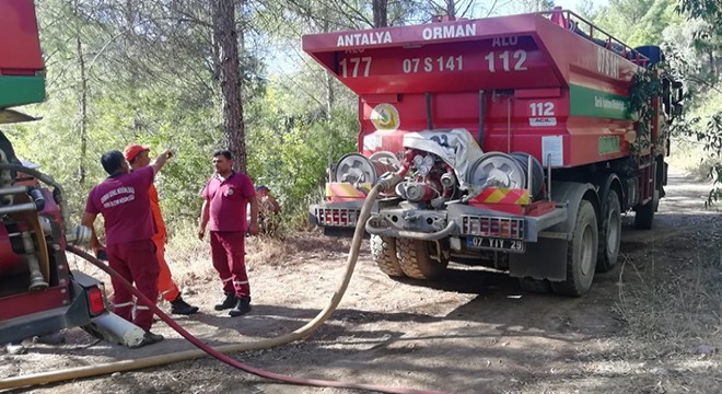 Antalya Serik'te orman yangını