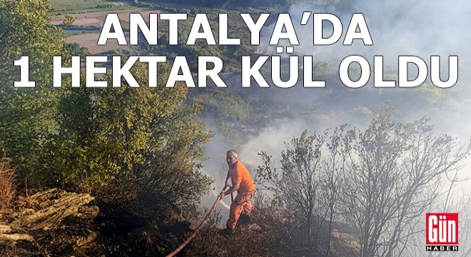 Antalya'da 1 hektar alan kül oldu