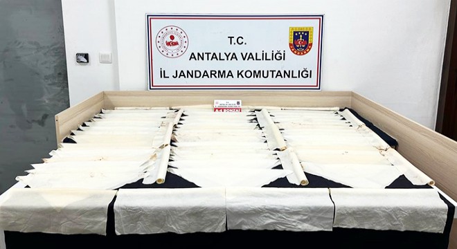 Antalya'da 1 milyon kullanımlık bonzai ele geçirildi