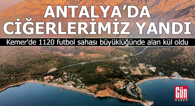 Antalya'da 1120 futbol sahası büyüklüğünde alan kül oldu