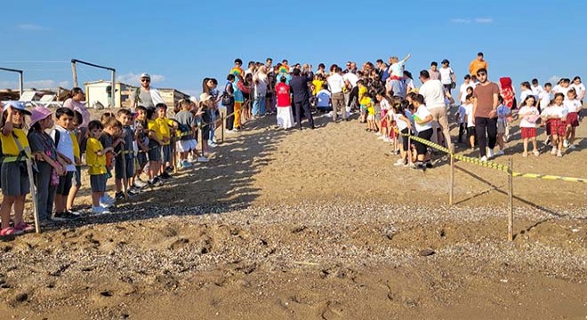 Antalya'da 16 bin kaplumbağa yavrusu denize ulaştı