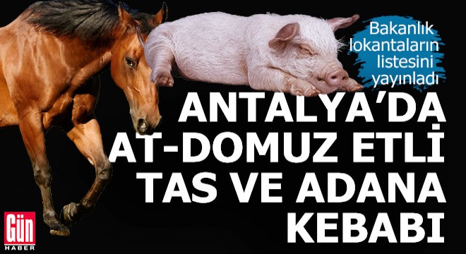 Antalya'da 2 lokanta at ve domuz etli tas ve adana kebabı satmış