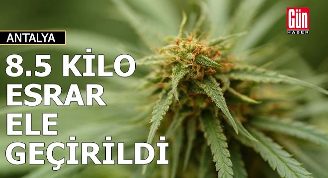 Antalya'da 8,5 kilo esrar ele geçirildi