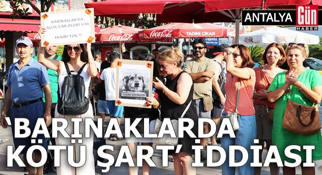 Antalya'da 'Barınaklarda kötü şart' iddiası