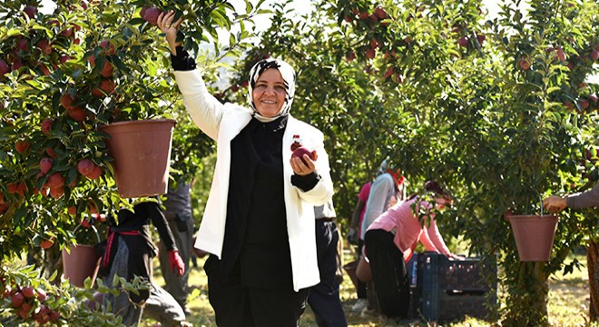 Antalya'da Elma Hasat Şenliği yapıldı