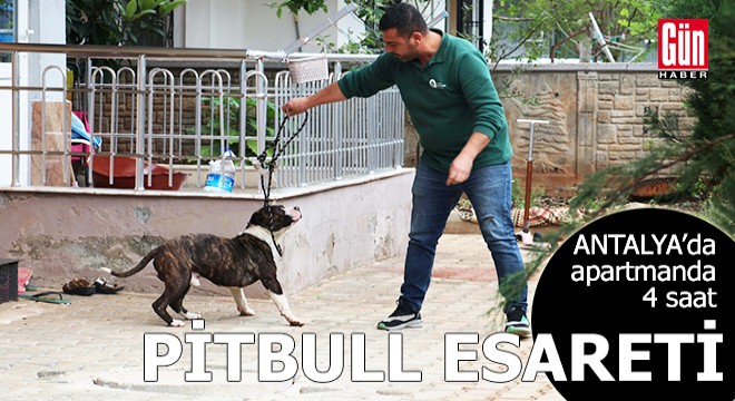 Antalya'da apartmanda 4 saat 'pitbull esareti'