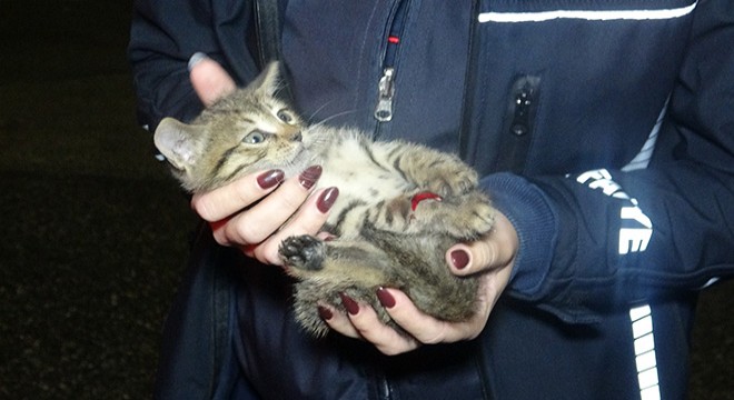 Antalya'da aracın tekerine sıkışan kedi kurtarıldı