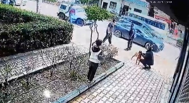 Antalya'da çaldığı köpeğin sahibine ve polise bıçak çekti