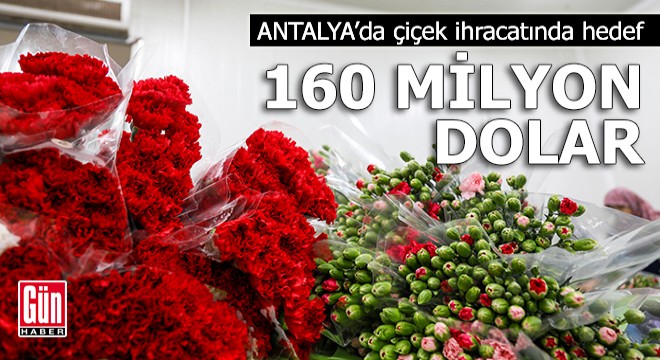 Antalya'da çiçek ihracatında 2024 hedefi 160 milyon dolar