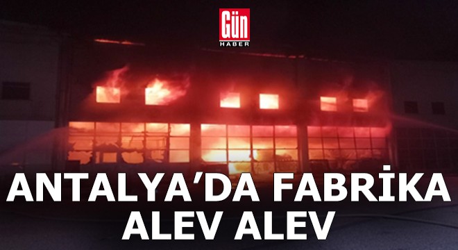 Antalya'da fabrika alev alev yandı