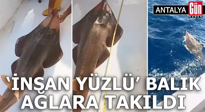 Antalya'da 'insan yüzlü' balık ağlara takıldı