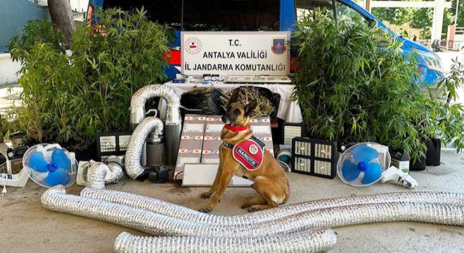 Antalya'da jandarma uyuşturucu tacirlerine geçit vermiyor