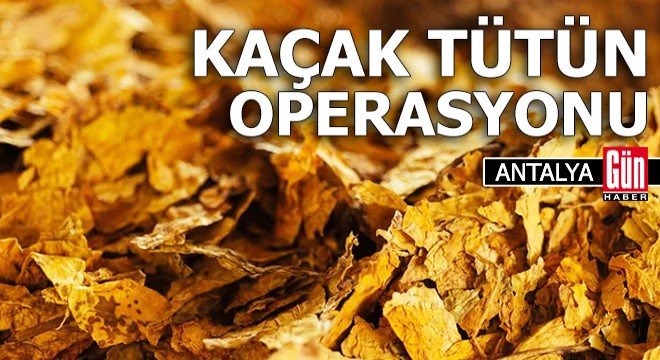 Antalya'da kaçak tütün operasyonu