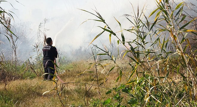 Antalya'da kargılık yangınını itfaiye büyümeden söndürdü