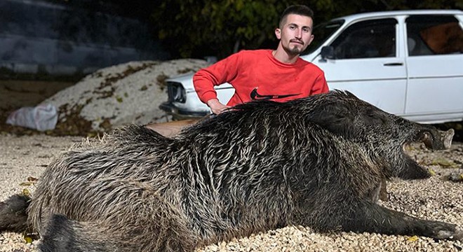 Antalya'da köpeğine saldırdığını söylediği 397 kiloluk domuzu öldürdü