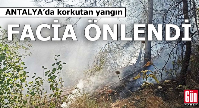 Antalya'da korkutan orman yangın! Facia önlendi