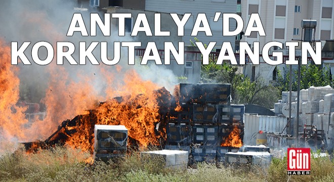 Antalya'da korkutan yangın!