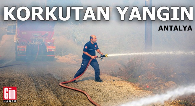 Antalya'da korkutan yangın!