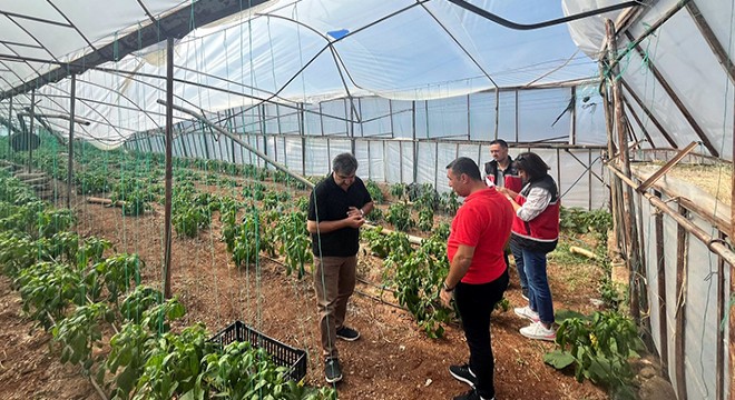 Antalya'da kuvvetli rüzgar ve yağmur, seralara zarar verdi