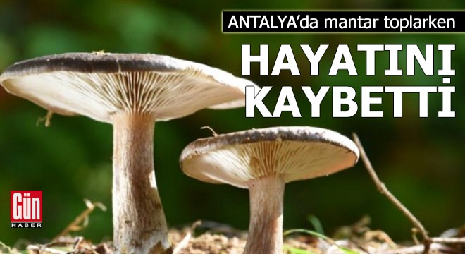 Antalya'da mantar toplarken hayatını kaybetti