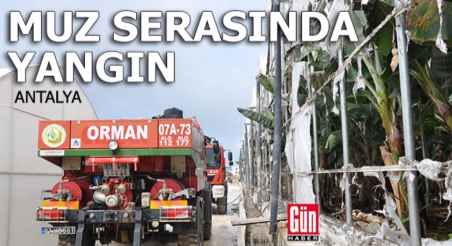 Antalya'da muz serasında yangın