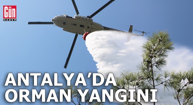 Antalya'da orman yangını