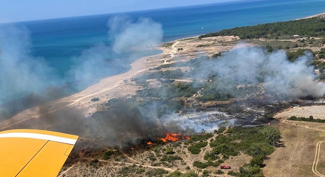 Antalya'da orman yangını