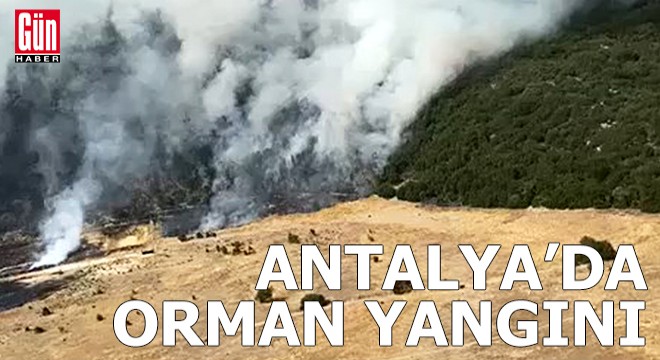 Antalya'da orman yangını